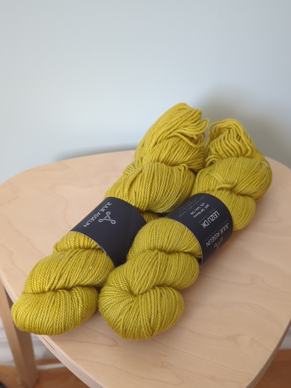 Julie Asselin Leizu DK Yarn In Cite D'or